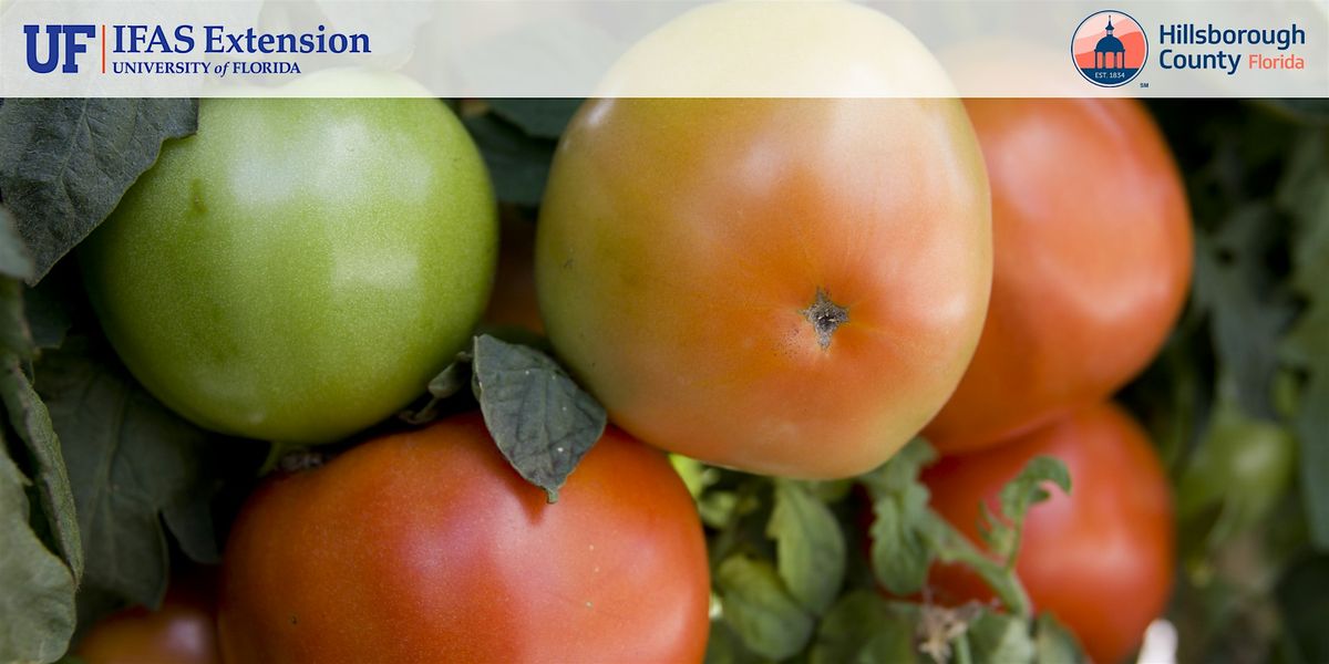 Vegetable Microirrigation Workshop In-Person