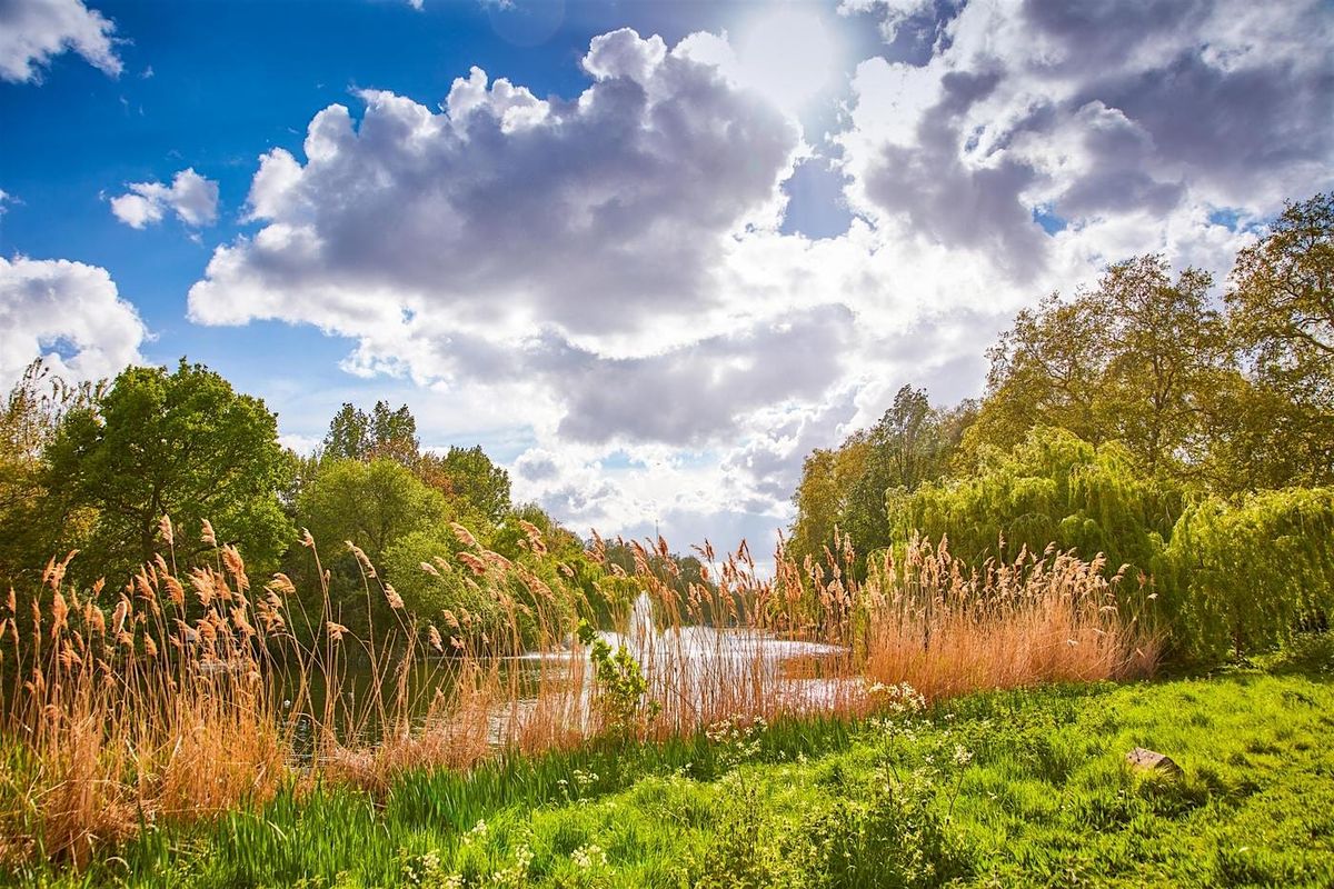 Green Escapes: An introduction to nature in St James's Park