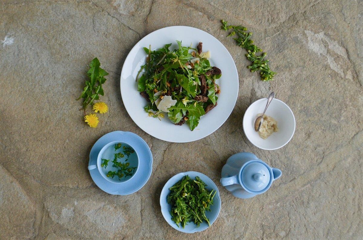 A Wild Foraged Tea