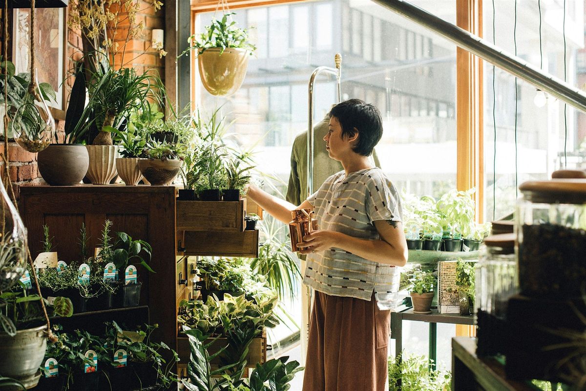 Houseplants 101: Welcoming the Autumn Equinox