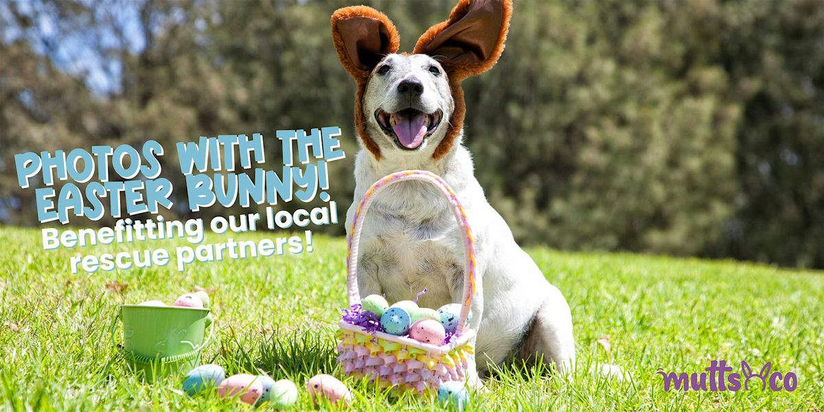 Easter Bunny Photos Supporting Central Ohio Sheltie Rescue (Westerville)