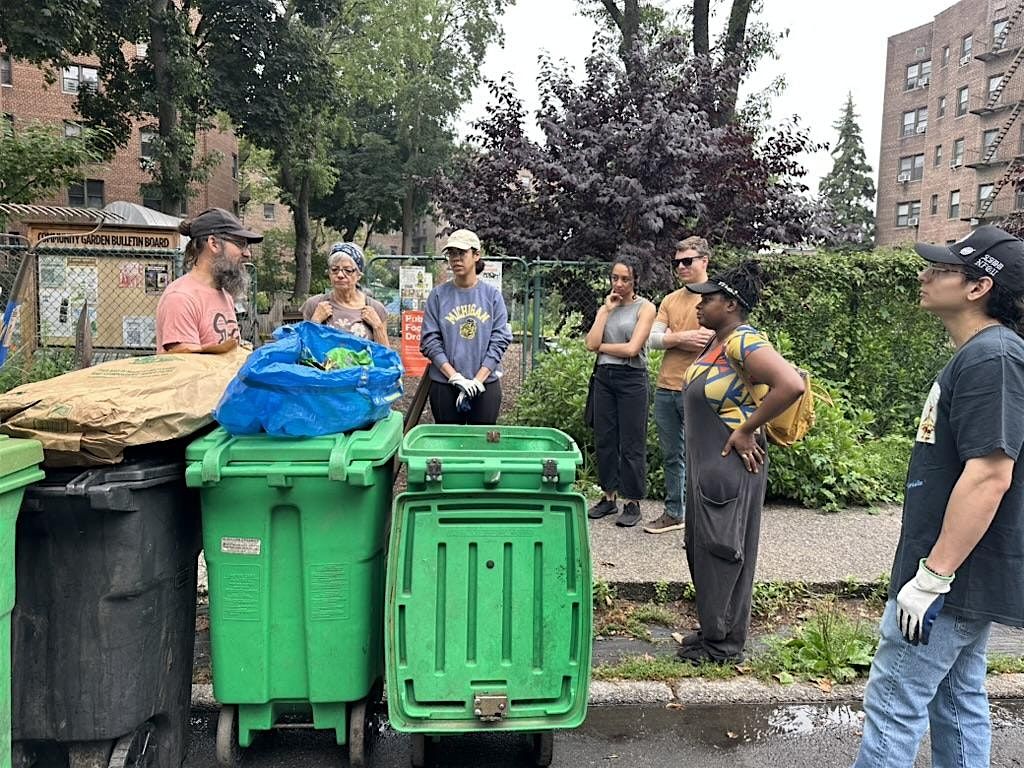 Street Tree Care w\/ Friends of Irving Square Park