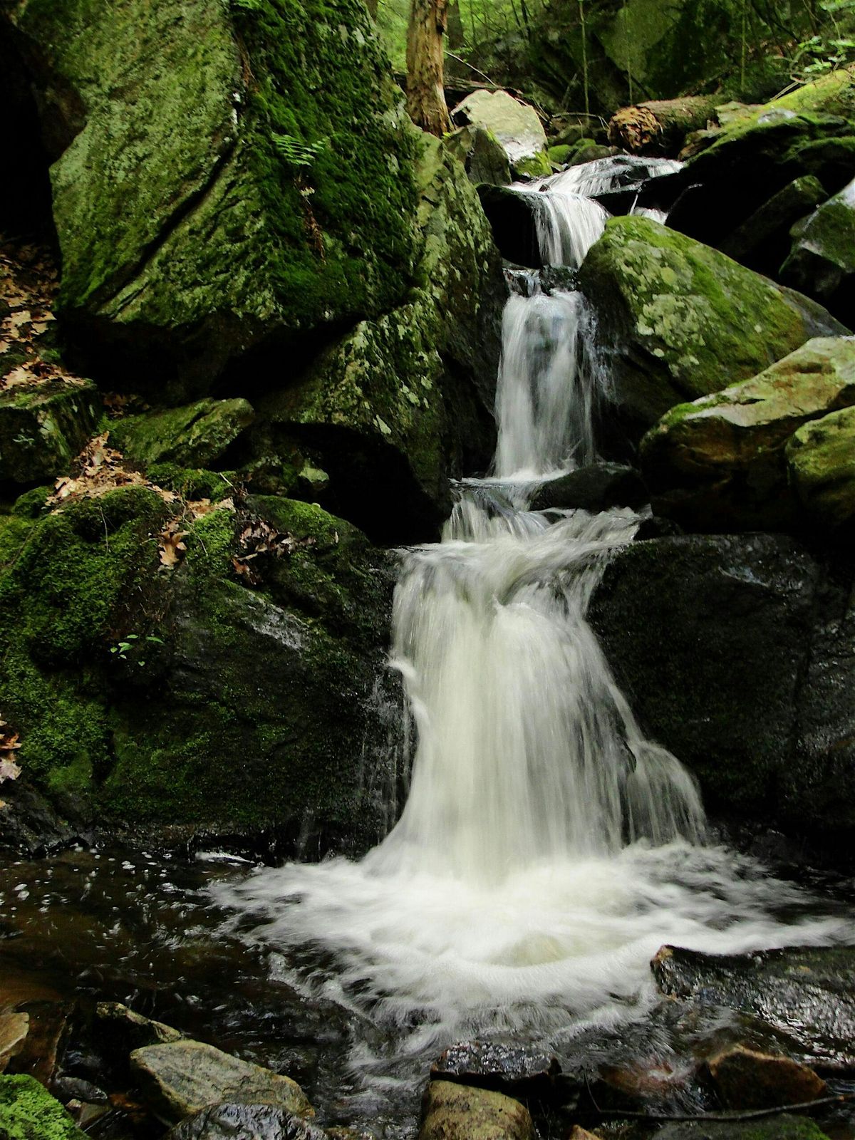 Hike to Campbell Falls
