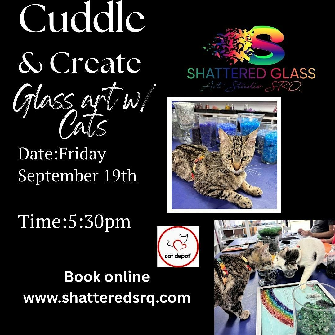 Cuddle and create with Cat Depot