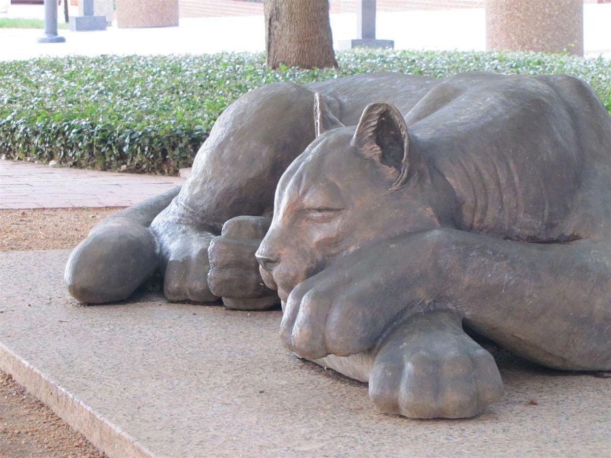 The Bronze & Stone Tour of Downtown Fort Worth