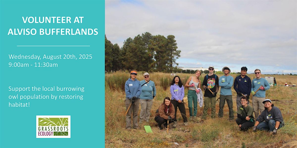 Volunteer Outdoors in Alviso at the Burrowing Owl Project