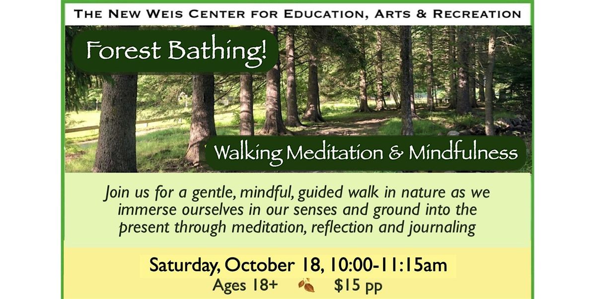 Forest Bathing - Walking Meditation & Reflection