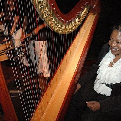 Harpist from the Hood