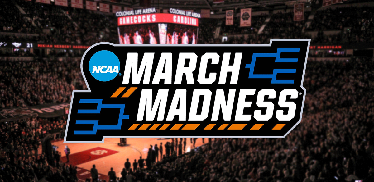 South Carolina Gamecocks at South Florida Bulls Womens Basketball at Yuengling Center