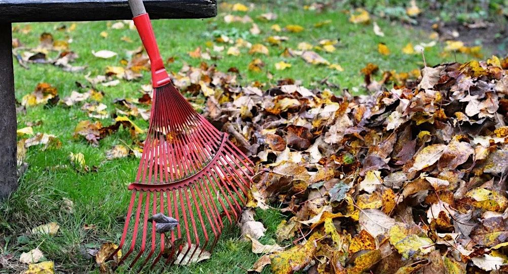 Putting the Garden to Bed for the Winter