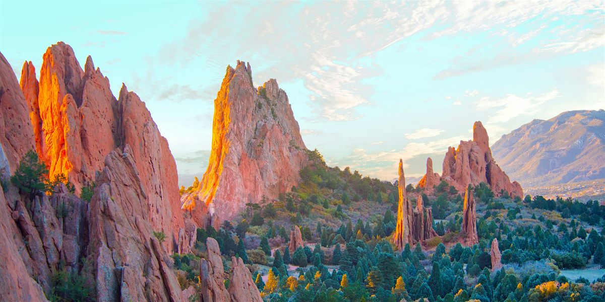 ESTATE PLANNING: How To Protect Your Assets, Your Wishes And Loved Ones