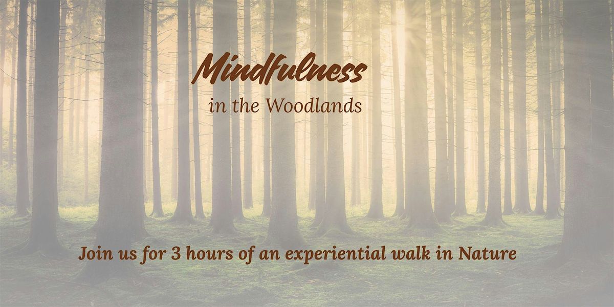 Mindfulness in the Woodland