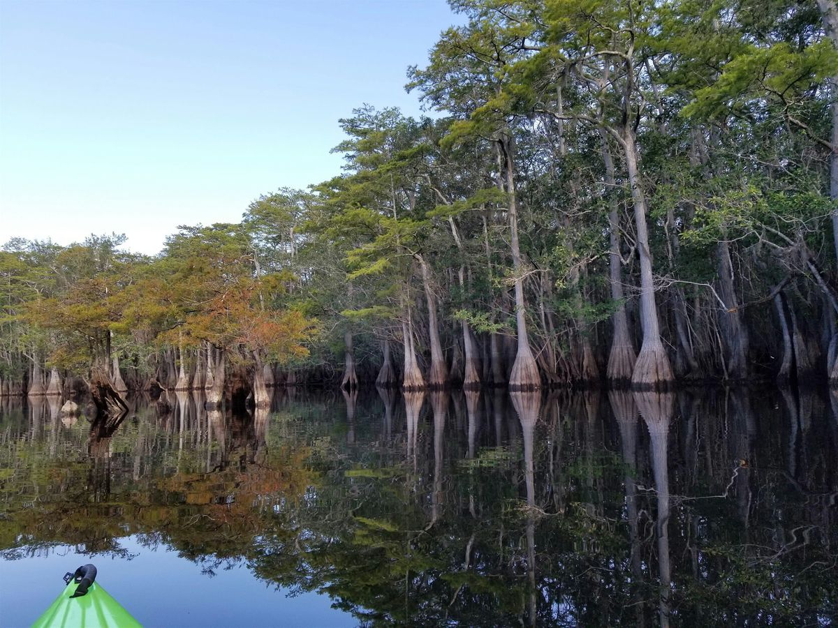 Apalachicola River and Floodplain Exploration