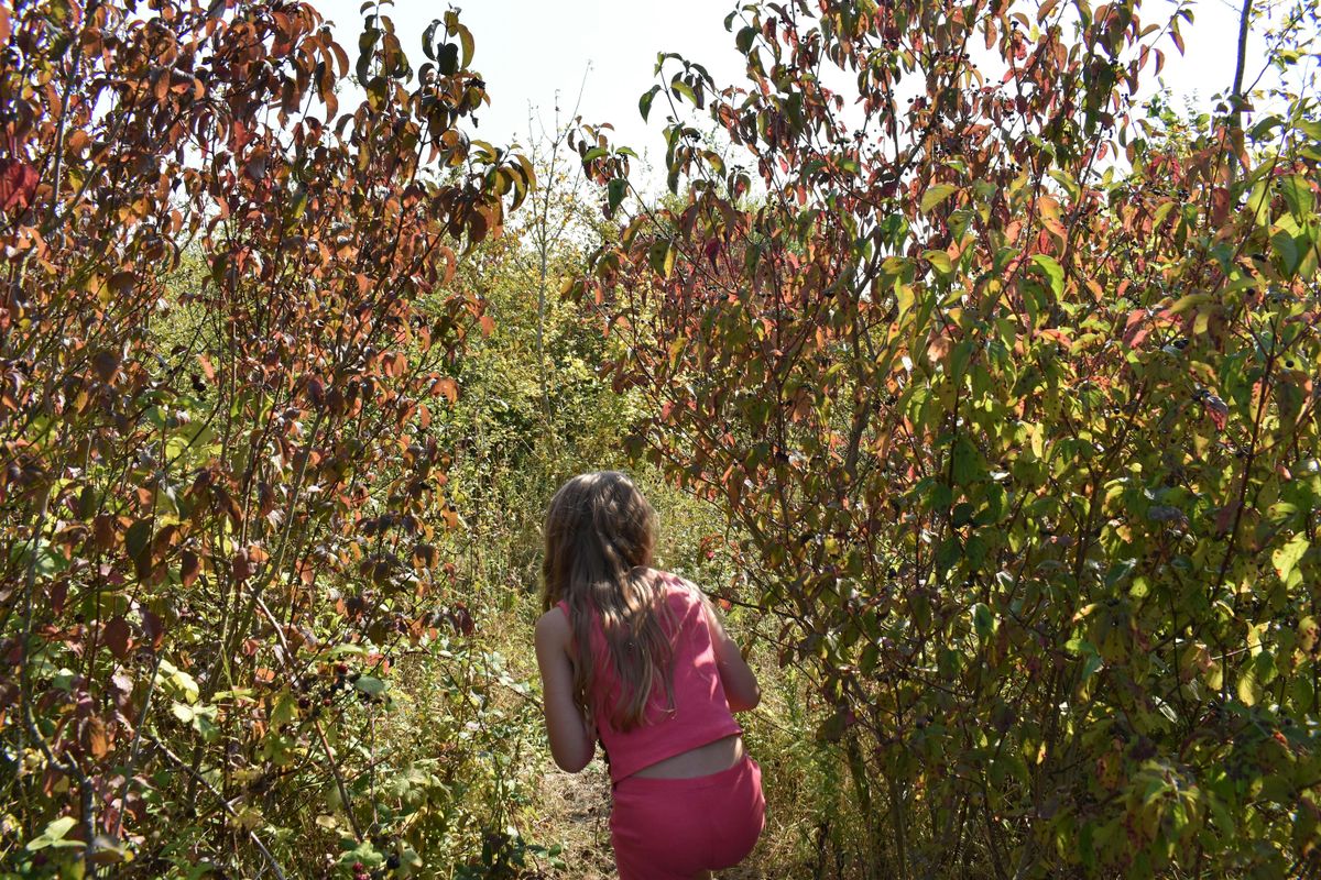 Abberton Wilder Holiday Club 5+
