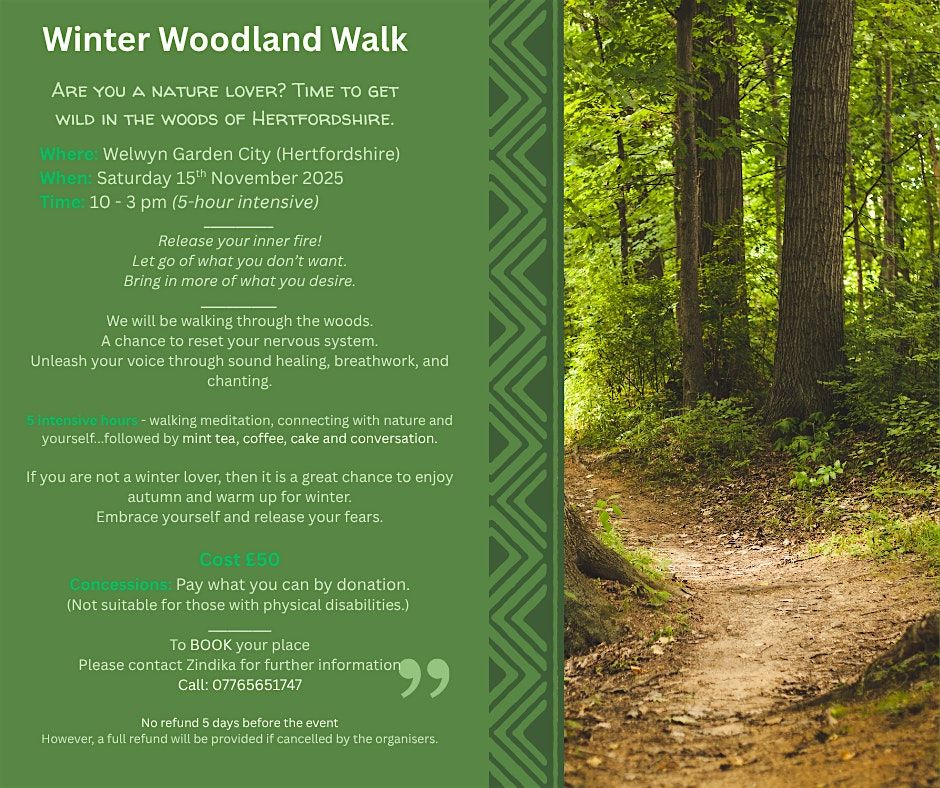 Winter Woodland Walk