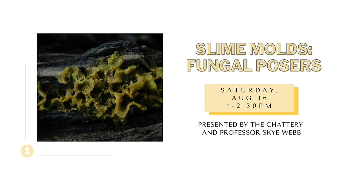 Slime Molds: Fungal Posers