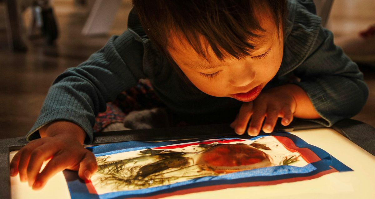 30th Annual Lowenfeld-Akeson Early Years Symposium