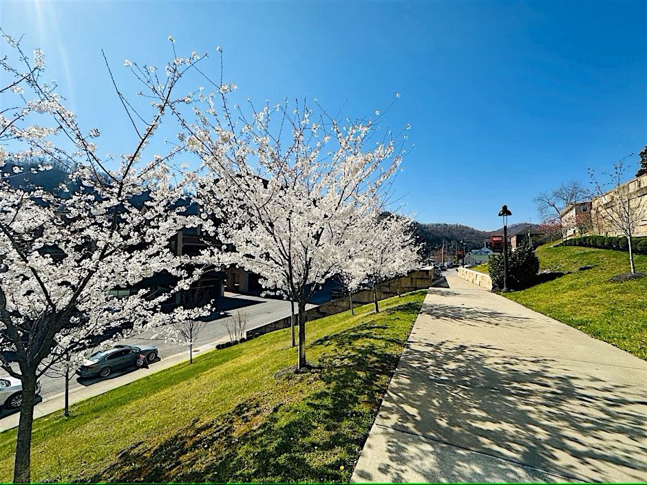 A Date Night Adventure! - Pikeville Prowl & Puzzle Pursuit