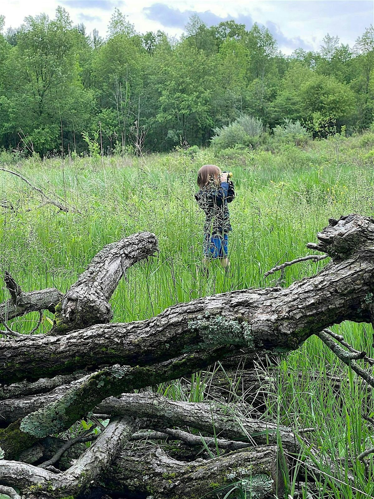 Free Family Nature Day: Story Time & Hike!