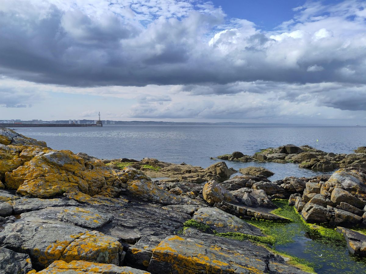 Greyhope Morning: Wildlife at Torry Battery