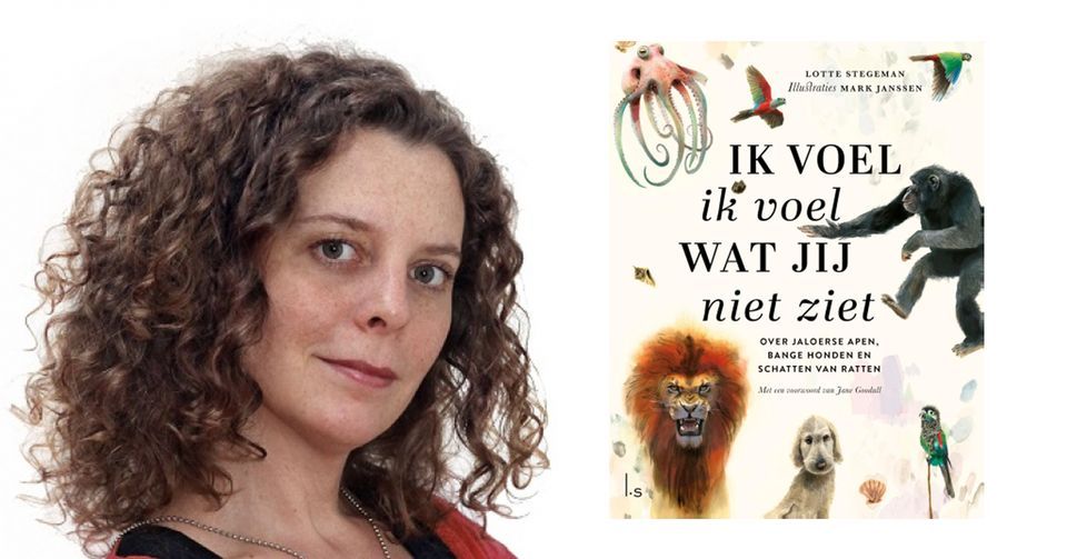 Lotte Stegeman over Ik voel, ik voel wat jij niet ziet | Kortemeestraat