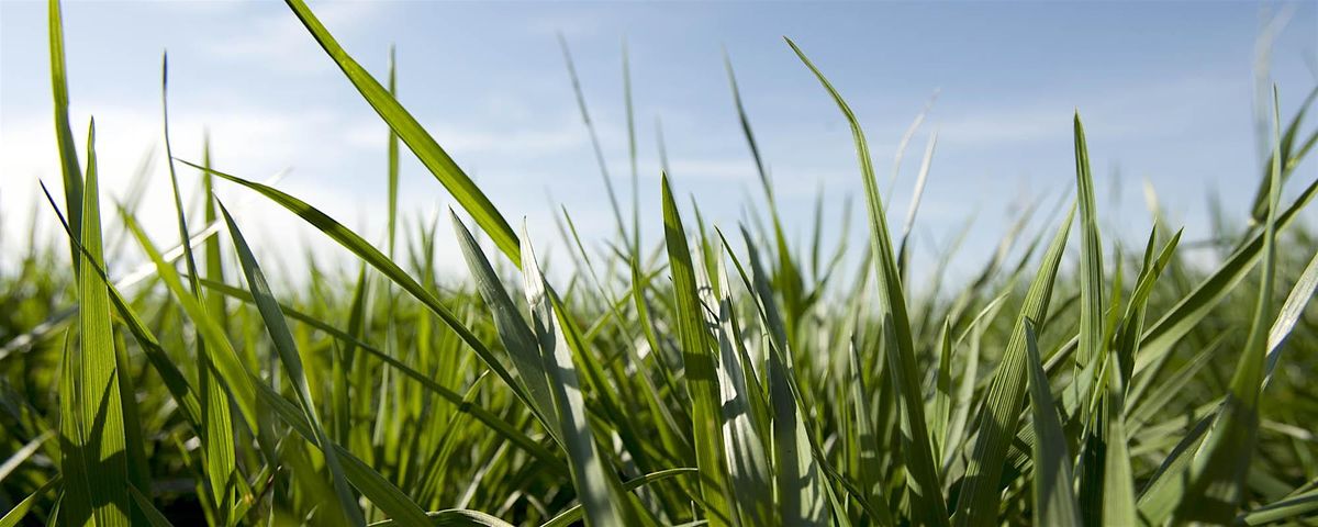 Tennessee Forage & Grassland Council Annual Meeting