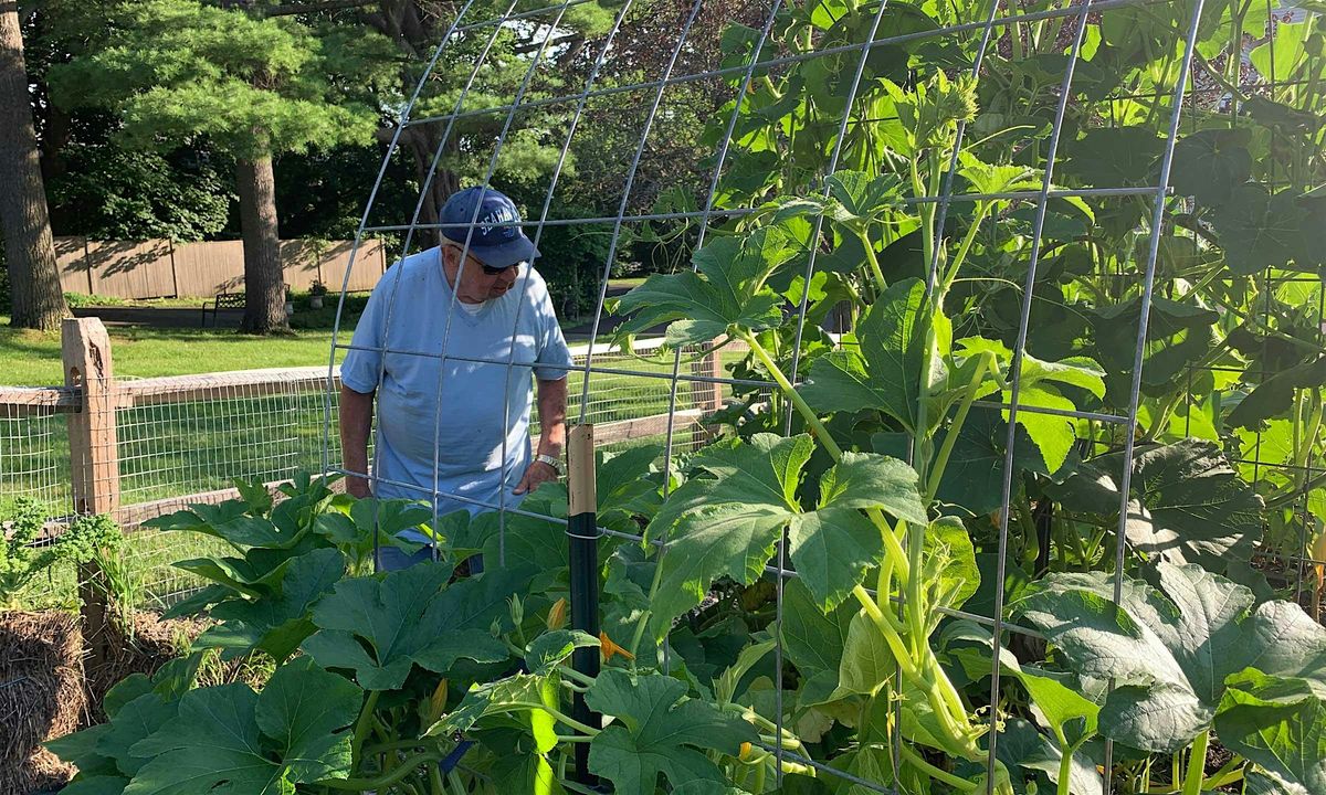 Final Harvest in and put Garden to bed, Lee Community Garden