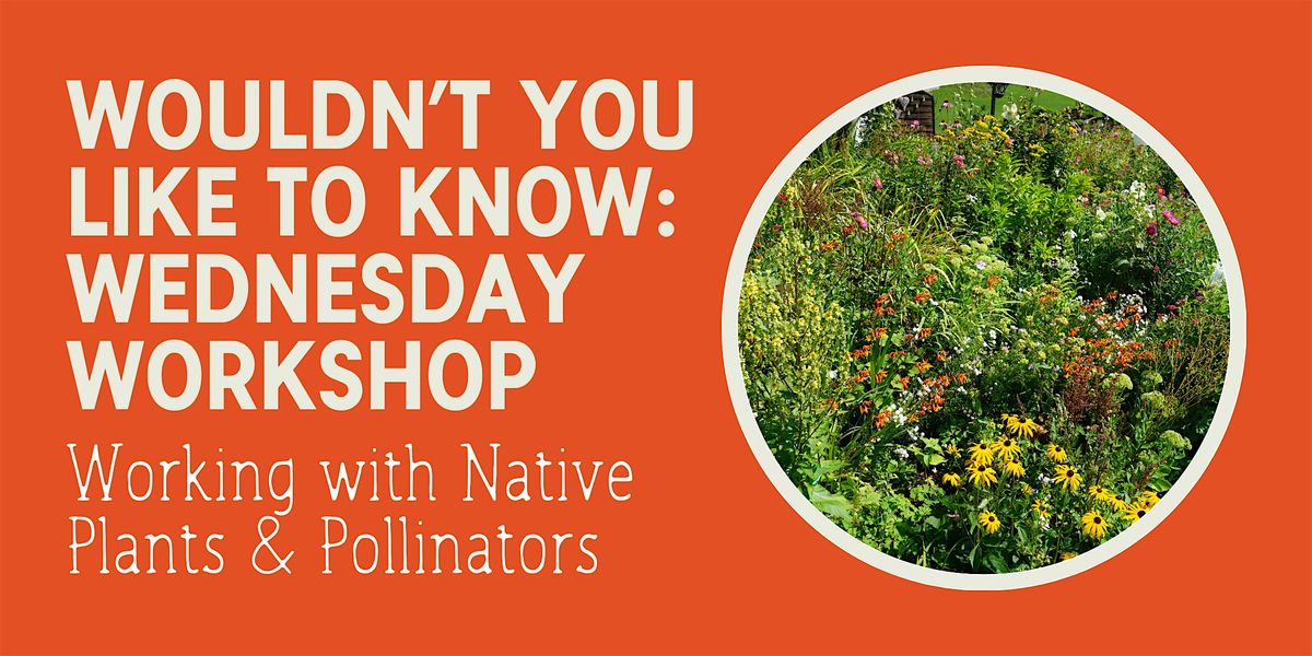 Wouldn't You Like To Know Wednesday: Native Plants & Pollinators