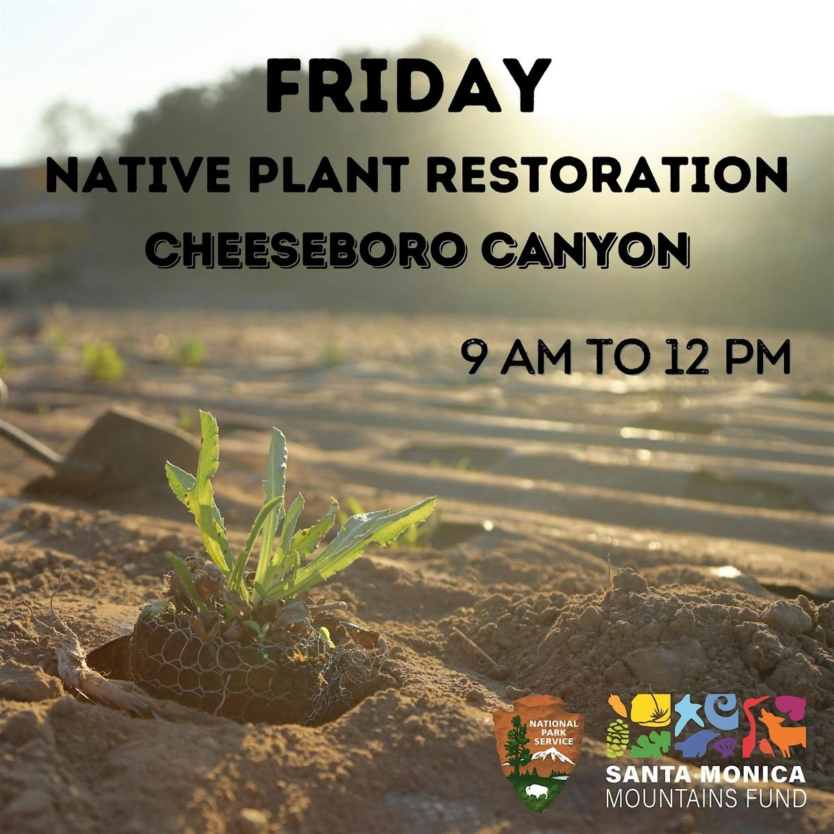 Friday Restoration: Cheeseboro Canyon - Coastal Sage Scrub