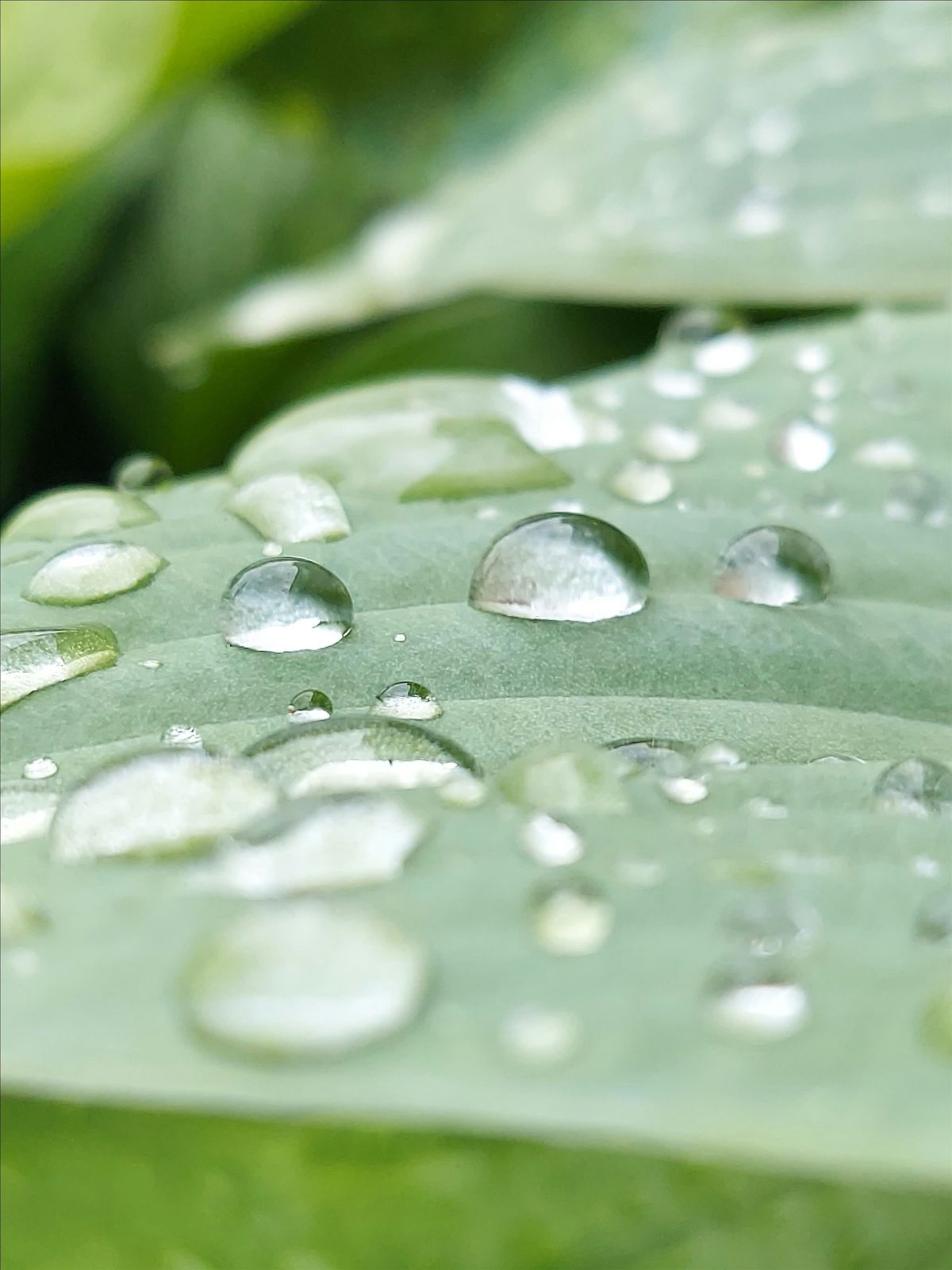 Stretching for Mental Clarity and Focus