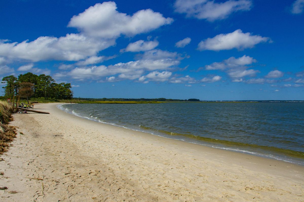 Wild & Well: Yoga at the Bay