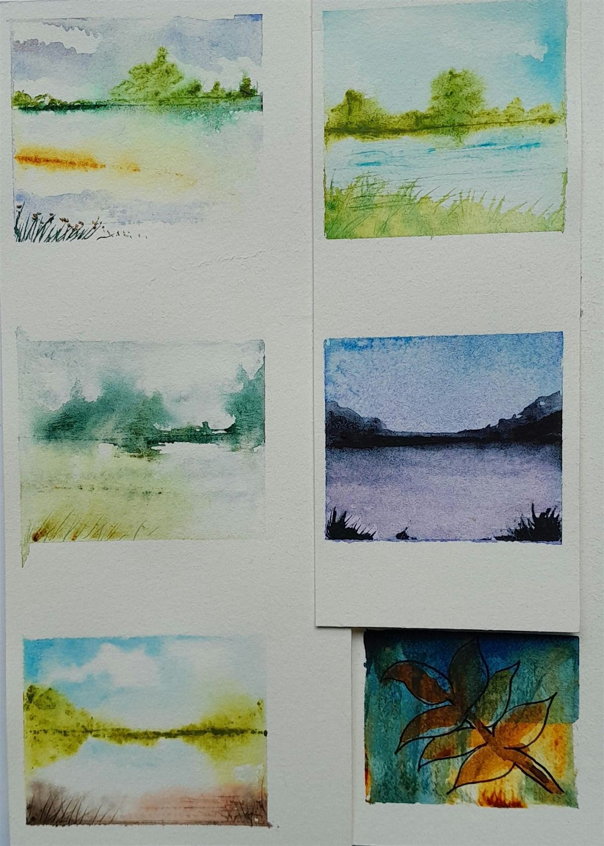 Mini Watercolour Workshop with Diane Finlay