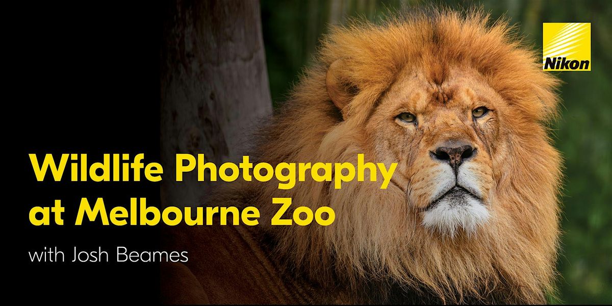 Wildlife Photography at Melbourne Zoo with Josh Beames