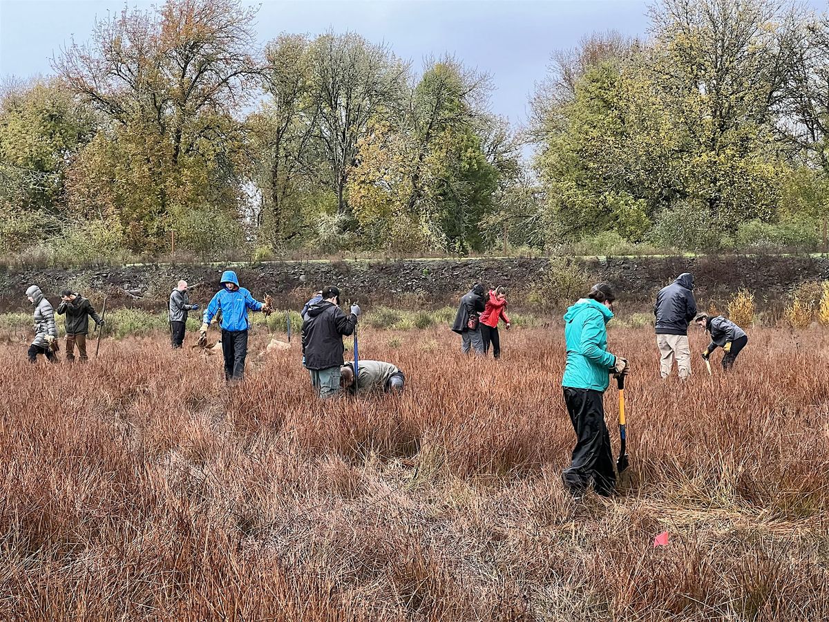 Jackson Bottom Wetlands Planting