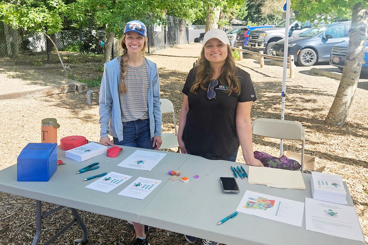 Parking Too Many Zooz