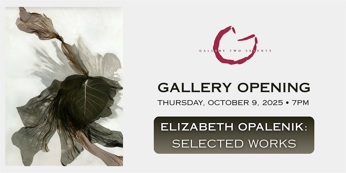 Gallery Opening - Elizabeth Opalenik: Selected Works