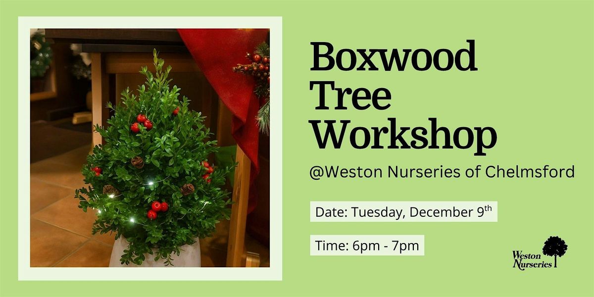 Boxwood Tree Workshop