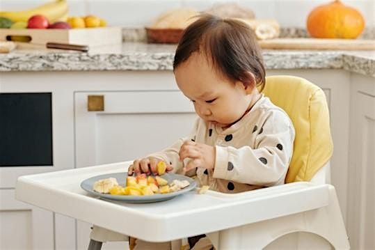 Introducing Solids Workshop (Wed 3rd Dec 2025)  10.00 - 11.30 AM