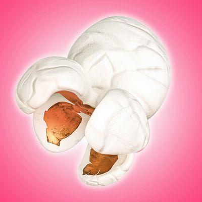 The Pink Popcast LLC