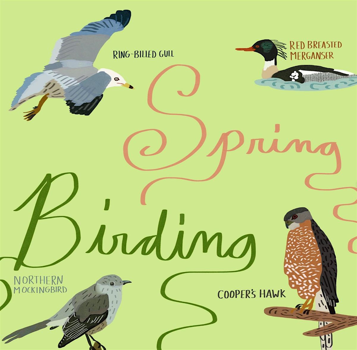 Spring Birding with Gabriel Willow
