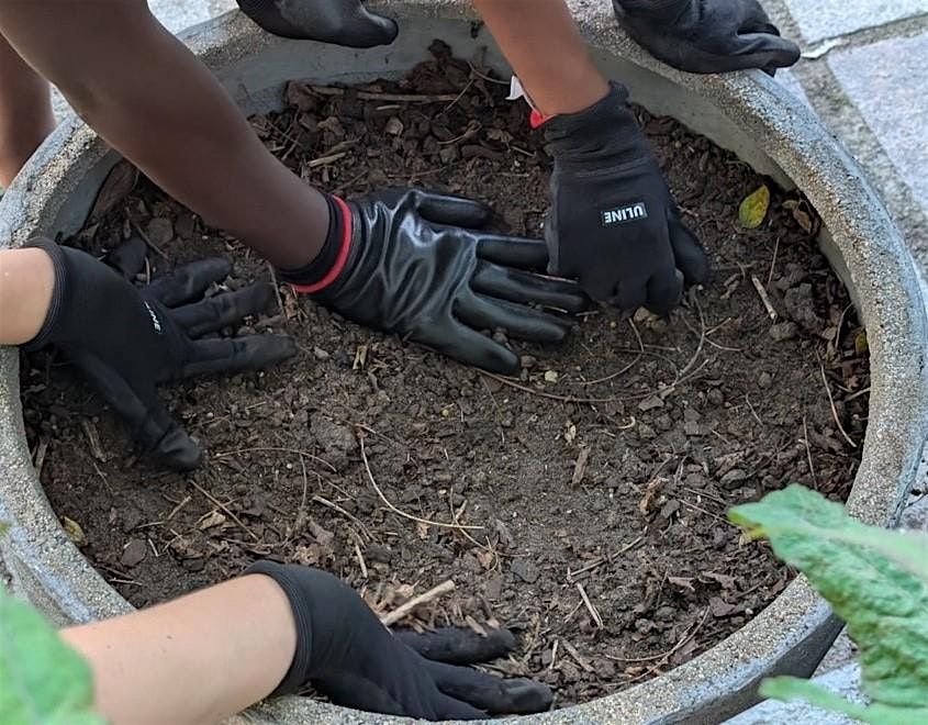 Spring Bulb Planting