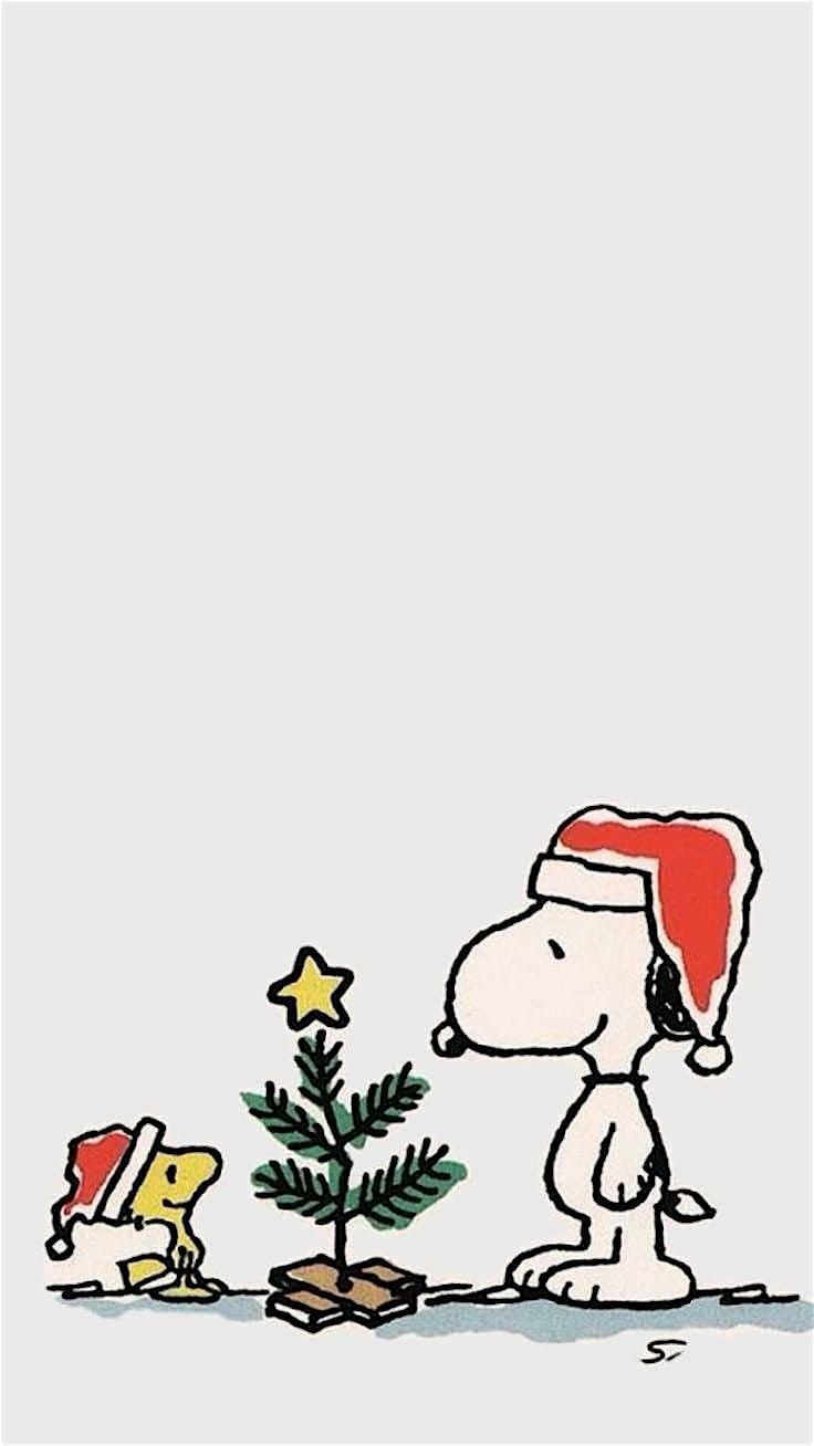 Lesh Shee As Graih 2025