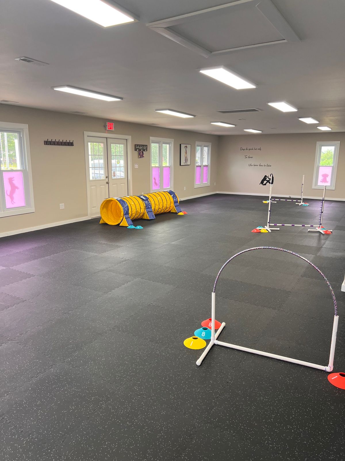 Beginner Agility 2536 Centerville Turnpike S, Chesapeake, VA