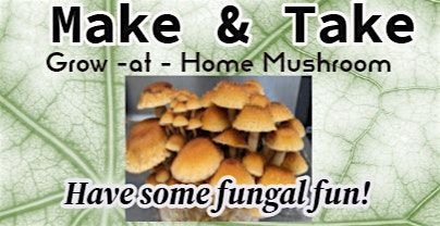 Growing Mushrooms Easily at Home
