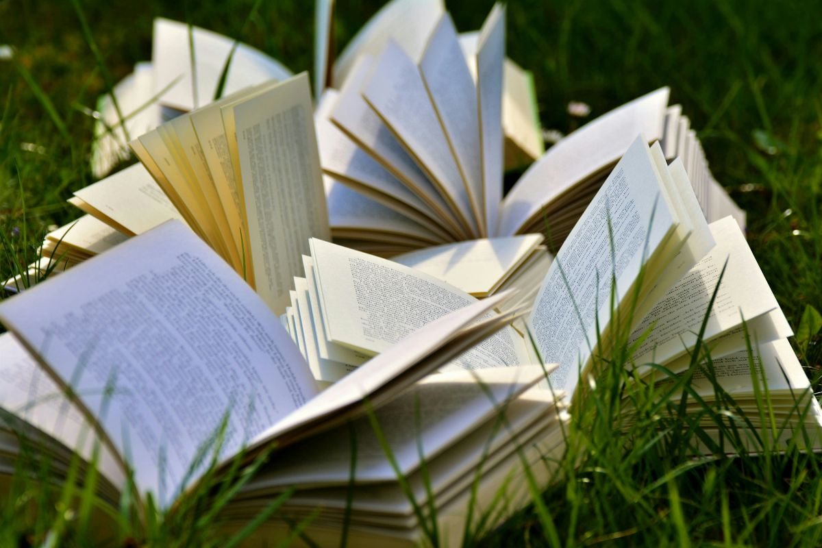 Summer Book Club