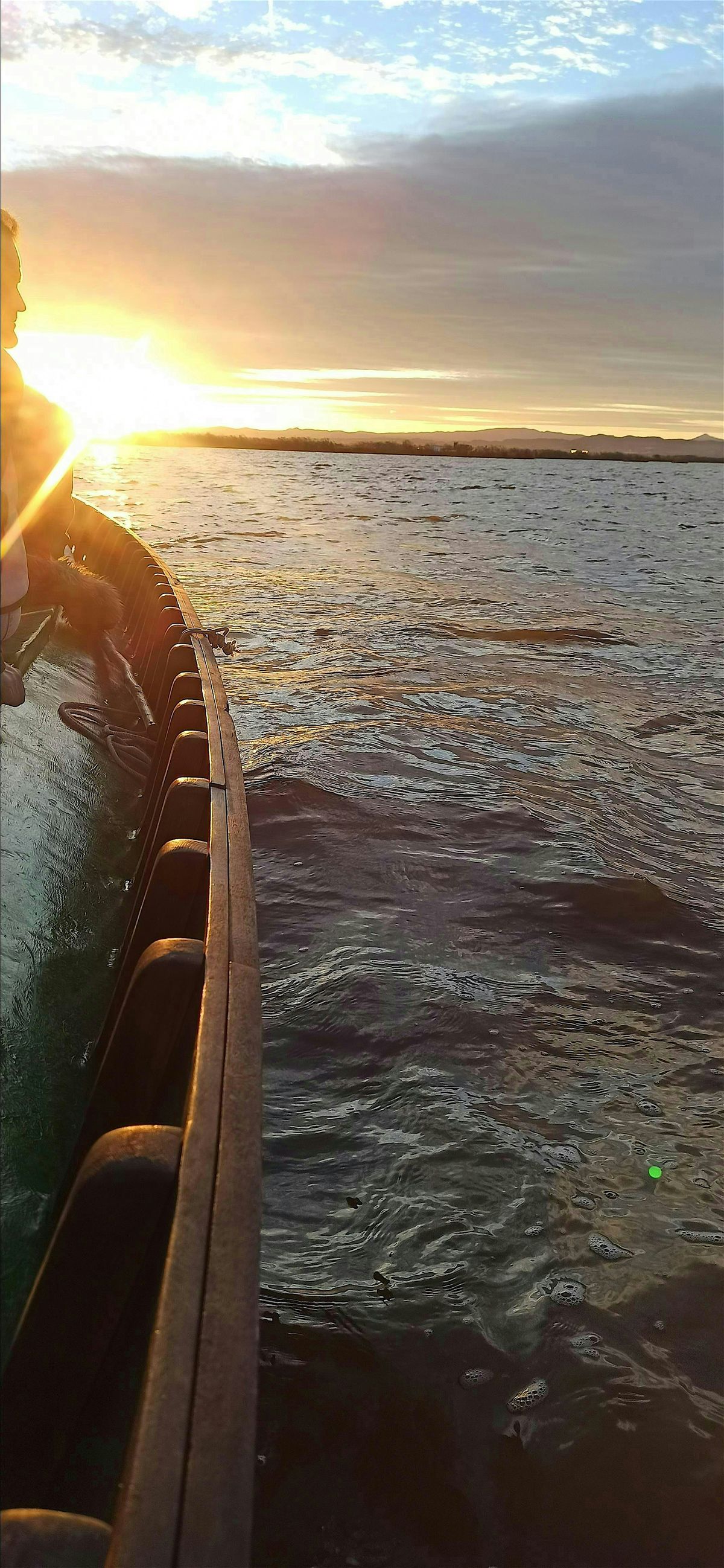 Paseo en barca + picnic en la Albufera