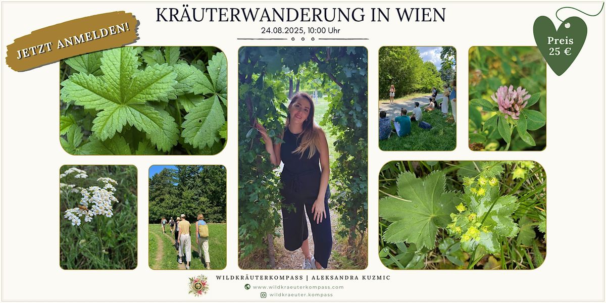Kr\u00e4uterwanderung in Wien \u2013 Was w\u00e4chst im Sp\u00e4tsommer?