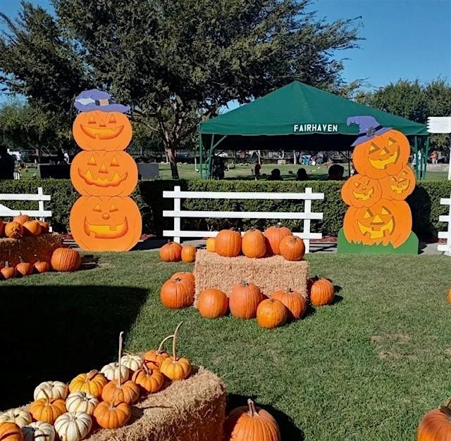 Free to Attend - Pumpkin Patch