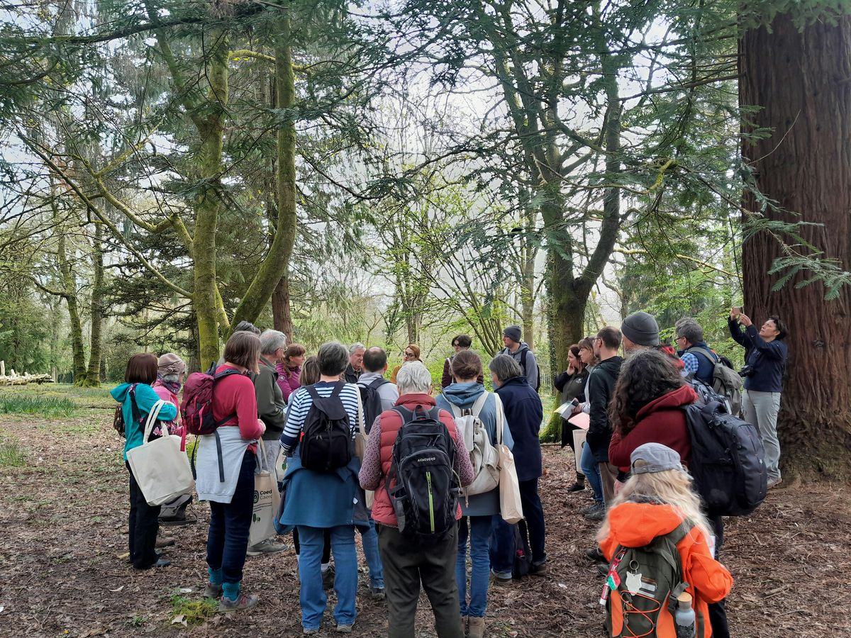Forest Farm Woodland Trust Ancient Tree Inventory Mapping | Forest Farm ...