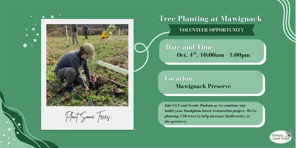 Volunteer: Tree Planting at Mawignack